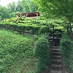 Letniskowy 